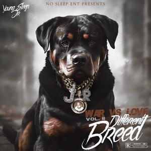 War VS Love VOL.II: Different Breed (Explicit)