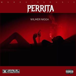 Perrita (feat. Wilmer Nigga) [Explicit]