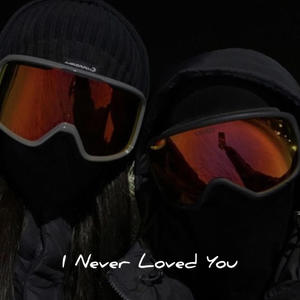 I Never Loved You