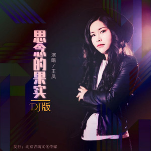 思念的果实 (DJ阿远版)
