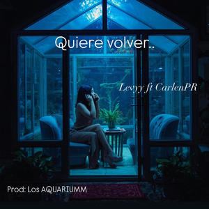 Quiere Volver.. (feat. Levyy)