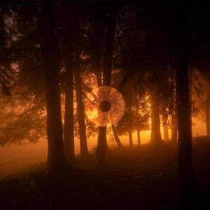 YEUX COULEUR BOIS (Explicit)