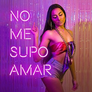 No Me Supo Amar