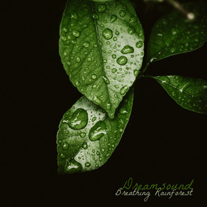 Breathing Rainforest