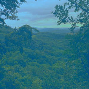 Nature (2024 Rework) (Slowed|Reverb)