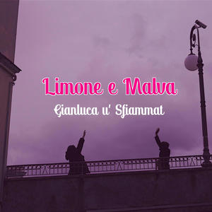 Limone e Malva