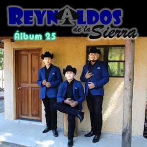 Los Reynaldos De La Sierra, Vol. 25