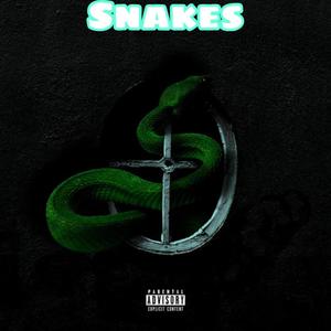 Snakes (feat. TrellRackzzzz, Monieloww & Nicc loww) [Explicit]