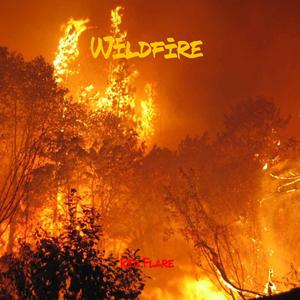 Wildfire