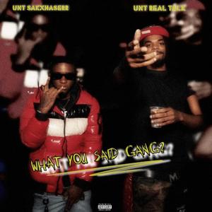 What You Said Gang (feat. UNT Sakxhaserr) [Explicit]