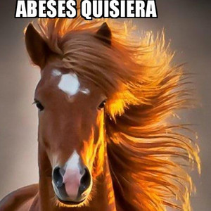 Abeses Quisiera