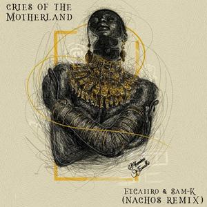 Cries of the Motherland (feat. Caiiro & Sam-K) (Nachos remix)