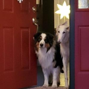 pretty stupid lol (Explicit)