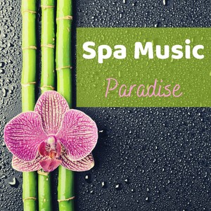 Spa Music Paradise - 25 Zen Songs, Spa Rituals, Tibetan Music, Nature Sounds