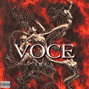 voce (Explicit)