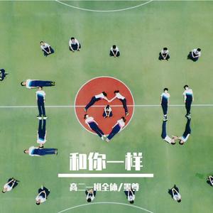 李宇春-和你一样 (墨尊 / 高二一班全体 remix)