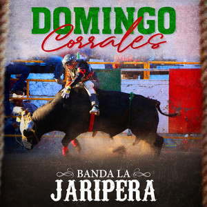 Domingo Corrales