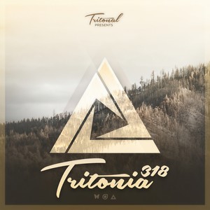How Often(Tritonia 318) (Ben Böhmer Remix)