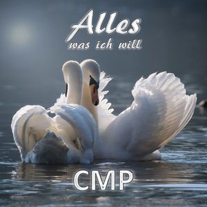 Alles was ich will (Radio Edit)