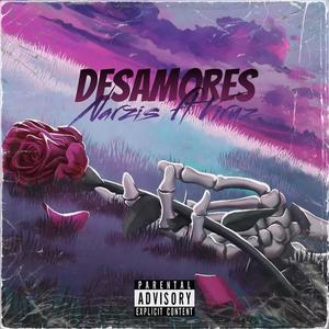 DESAMORES (feat. Viruz LP) [Explicit]