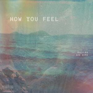 How You Feel (feat. Acehitz) (Explicit)