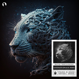 Good Rush (Din & Vic Extended Remix)