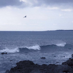 珊瑚海