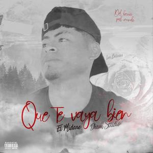 Que Te Vaya Bien (feat. Dham Studio)