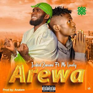 Arewa (feat. Mr Lovely) [Explicit]