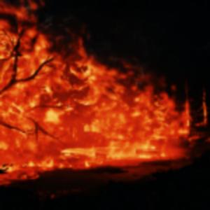 obetujem lásku (feat. $litwrist) (Explicit)