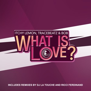 What Is Love? (DJ La Touche Remix)