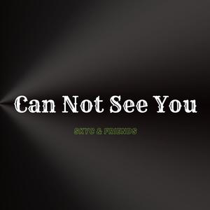 Can Not See You (feat. Kyllian, Trung Duong & Tekans) (Explicit)