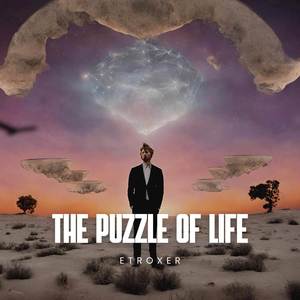 The Puzzle Of Life