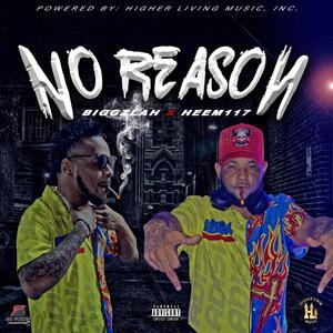 NO REASON (Explicit)
