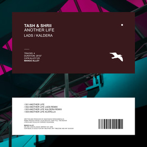 Another Life (LADS Remix)