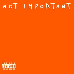 Not Important (Explicit)