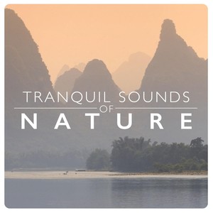 Tranquil Sounds of Nature