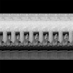 谁偷走了我的晚宴