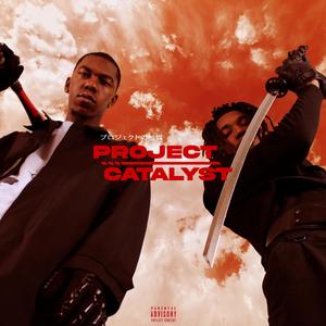 PROJECT CATALYST (Explicit)