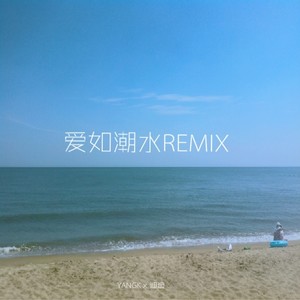 爱如潮水remix