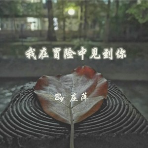 我在冒险中见到你