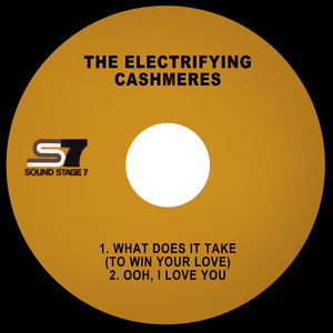 What Does It Take(To Win Your Love)