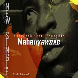 Mahanyawexe (feat. YoungMlo) (Radio Edit)