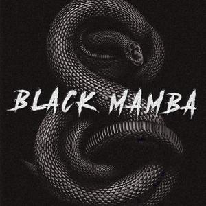 Black Mamba (feat. Ermitty) [Explicit]