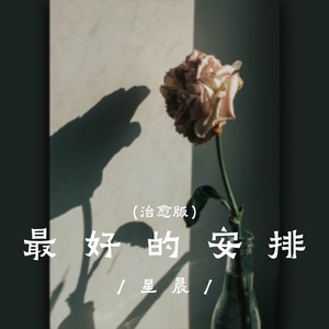 最好的安排 (治愈版)