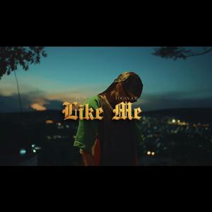Like Me (feat. Logan Joe) (Explicit)