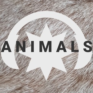 Animals (Remix)