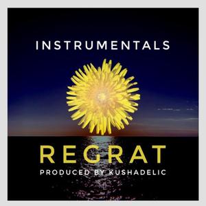 REGRAT INSTRUMENTALS