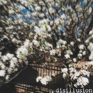 disillusion