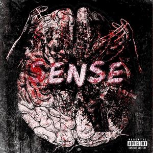 Sense (Explicit)